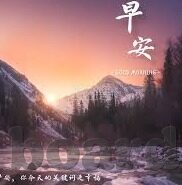 成人麻豆视频网站-一篇关于现代网络信息搜索的导览