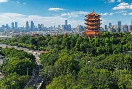 成人中文亚洲在线视频-成人中文在线视频，信息时代的文化交汇与影响