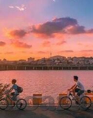 大象传媒在线高清观看-探索大象传媒，高清观影新体验