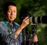 麻豆传媒黄色仓库-麻豆传媒与网络色情内容的反思，构建健康的网络文化氛围