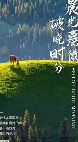 麻豆传媒影业-麻豆传媒影业，娱乐新视界的探索与争议