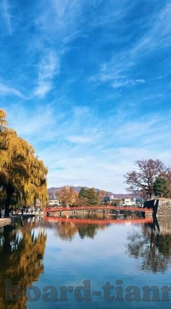 麻豆国产av剧-探讨国产AV剧中的麻豆角色，欲望、幻想与现实的交织