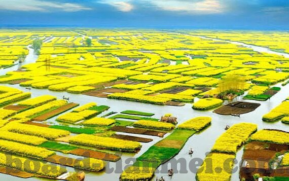 麻豆文化传媒有限公司视频-灭不了的苗条与速效，麻豆文化传媒有限公司视频背后的社会现象